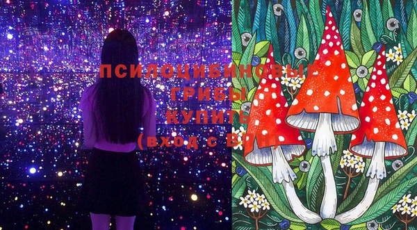 синтетический гашиш Вязьма