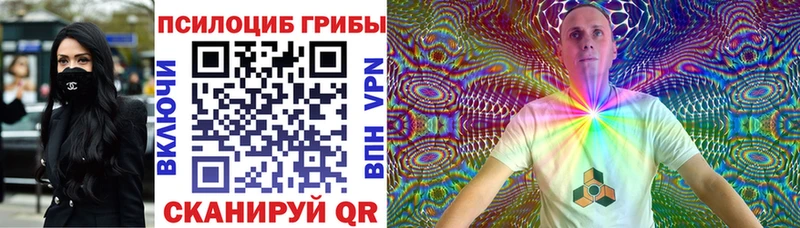 где купить наркоту  Новохопёрск  Псилоцибиновые грибы Magic Shrooms 